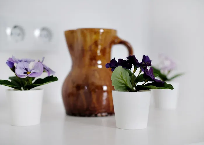 Playa, Mar&sol * Torrevieja